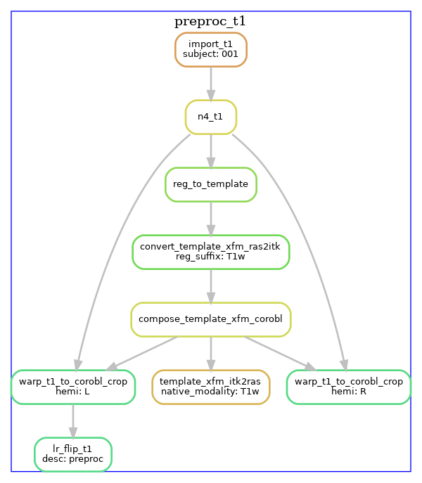 T1w workflow preproc t1