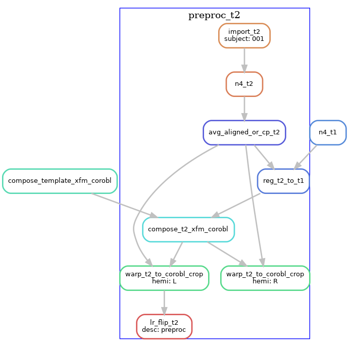 T2w t1-reg-template preproc_t2