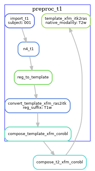 T2w t1-reg-template preproc_t1